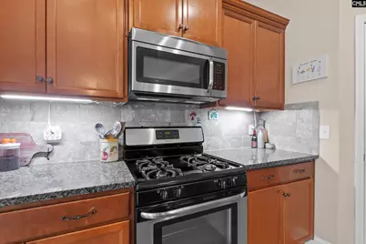791 Carolina Aster Drive, Blythewood, SC 29016 - Photo 17