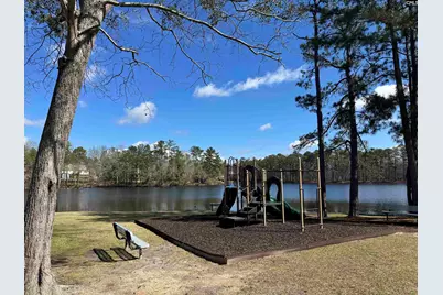 599 Corkscrew Lane, Blythewood, SC 29016 - Photo 37