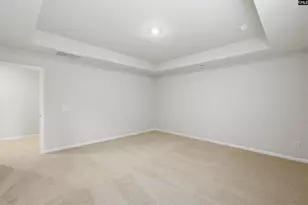 746 Dappled Willow Ct, Blythewood, SC 29016 - Photo 25