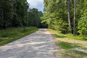 1173 Shangri-La Dr, Winnsboro, SC 29180 - Photo 47