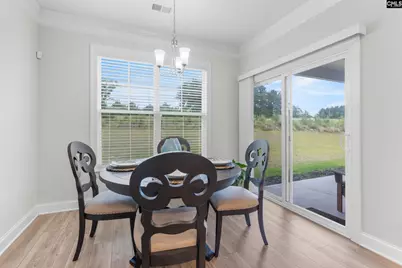 215 Falling Leaves Lane, Blythewood, SC 29016 - Photo 13
