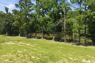 169 Shumpert Rd, West Columbia, SC 29172 - Photo 91