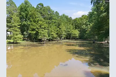 169 Shumpert Road, West Columbia, SC 29172 - Photo 95