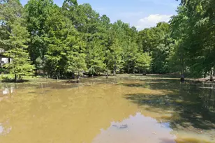 169 Shumpert Rd, West Columbia, SC 29172 - Photo 95