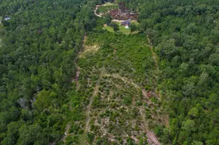 766 Johnson King Rd, Swansea, SC 29160 - Photo 31