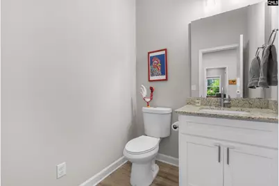 133 Night Harbor Drive, Chapin, SC 29036 - Photo 15