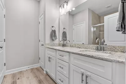 133 Night Harbor Drive, Chapin, SC 29036 - Photo 19