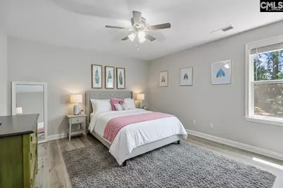 133 Night Harbor Drive, Chapin, SC 29036 - Photo 29