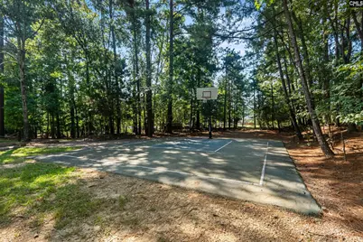 133 Night Harbor Drive, Chapin, SC 29036 - Photo 43
