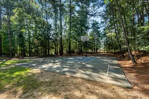 133 Night Harbor Dr, Chapin, SC 29036 - Photo 43