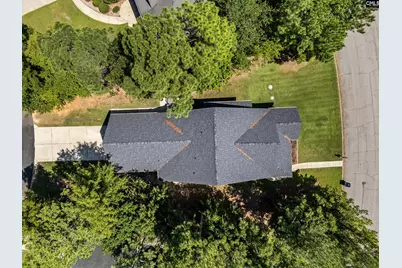 133 Night Harbor Drive, Chapin, SC 29036 - Photo 47