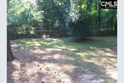 318 Chatteris Road, Irmo, SC 29063 - Photo 21