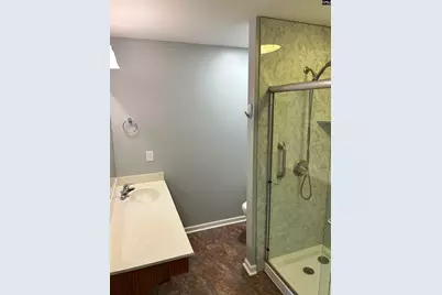 168 Regency Drive, Columbia, SC 29212 - Photo 23