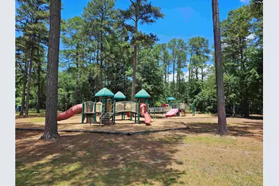 179 Courtside Drive, Lexington, SC 29073 - Photo 27