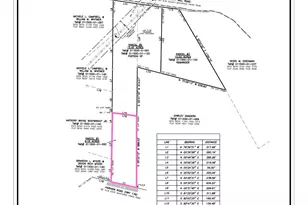 Tbd Fairview Road Parcel 1, Leesville, SC 29070 - Photo 1