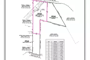 Tbd Gantt Mill Road Parcel 2, Leesville, SC 29070 - Photo 1