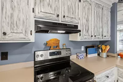 225 Hallie Hills Place, Lexington, SC 29073 - Photo 9