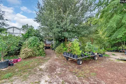 4594 Timrod Road, Bethune, SC 29009 - Photo 51