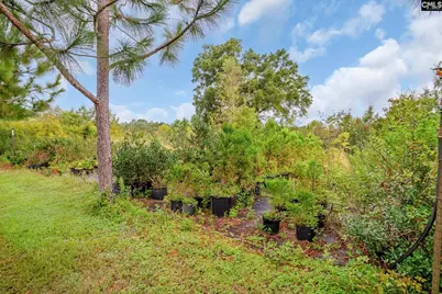 4594 Timrod Road, Bethune, SC 29009 - Photo 25