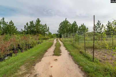 4594 Timrod Road, Bethune, SC 29009 - Photo 29