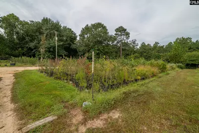 4594 Timrod Road, Bethune, SC 29009 - Photo 31