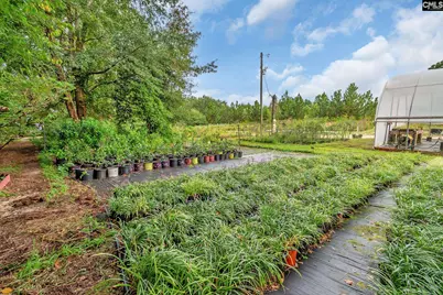 4594 Timrod Road, Bethune, SC 29009 - Photo 49