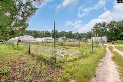 4594 Timrod Road, Bethune, SC 29009 - Photo 23