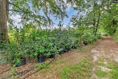4594 Timrod Road, Bethune, SC 29009 - Photo 45