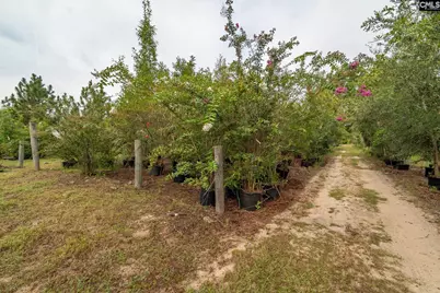 4594 Timrod Road, Bethune, SC 29009 - Photo 35