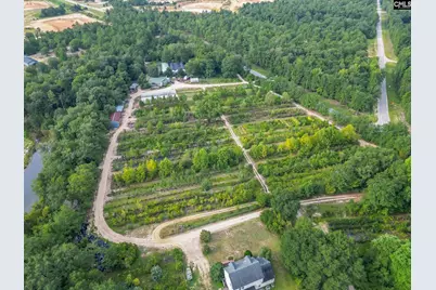 4594 Timrod Road, Bethune, SC 29009 - Photo 21