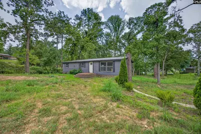 3249 Driftwood Point Road, Gilbert, SC 29054 - Photo 35