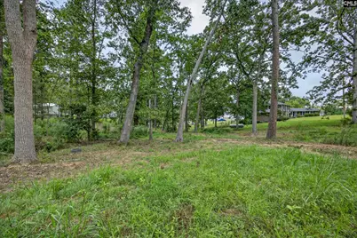 3249 Driftwood Point Road, Gilbert, SC 29054 - Photo 31