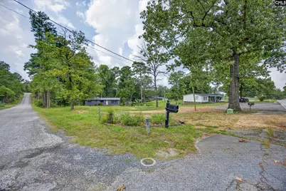 3249 Driftwood Point Road, Gilbert, SC 29054 - Photo 29