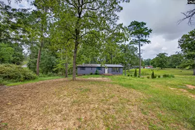 3249 Driftwood Point Road, Gilbert, SC 29054 - Photo 35