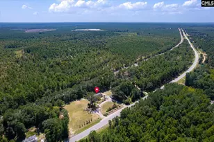 2989 Hwy 1 N, Cassatt, SC 29032 - Photo 29