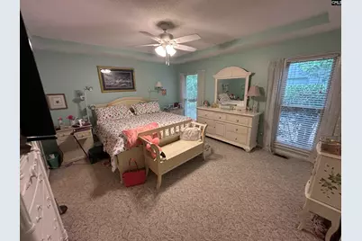 1043 Old Bush River Road, Chapin, SC 29036 - Photo 9