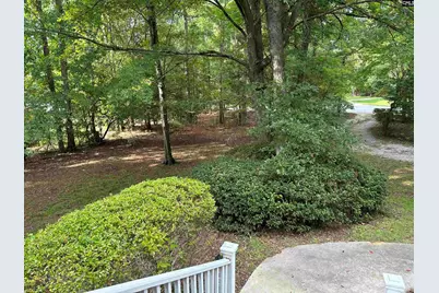 1043 Old Bush River Road, Chapin, SC 29036 - Photo 27