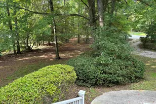 1043 Old Bush River Rd, Chapin, SC 29036 - Photo 27