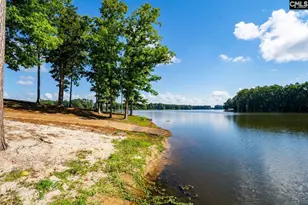 1201 Taylor Rd, Batesburg, SC 29006 - Photo 81