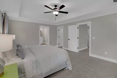 132 Irish Setter Street, Chapin, SC 29036 - Photo 19