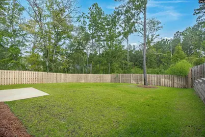 132 Irish Setter Street, Chapin, SC 29036 - Photo 35