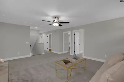 132 Irish Setter Street, Chapin, SC 29036 - Photo 17