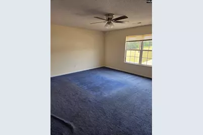220 Appletree Lane, West Columbia, SC 29170 - Photo 35
