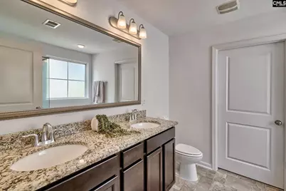 1127 Portrait Hill Drive, Chapin, SC 29036 - Photo 19