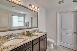1127 Portrait Hill Dr, Chapin, SC 29036 - Photo 19