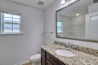 1127 Portrait Hill Drive, Chapin, SC 29036 - Photo 29