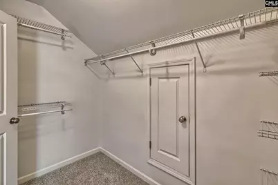 1127 Portrait Hill Drive, Chapin, SC 29036 - Photo 23
