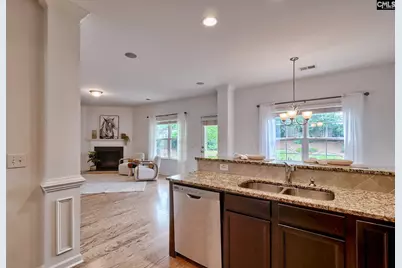 1127 Portrait Hill Drive, Chapin, SC 29036 - Photo 9