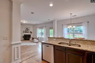 1127 Portrait Hill Dr, Chapin, SC 29036 - Photo 9