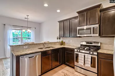 1127 Portrait Hill Drive, Chapin, SC 29036 - Photo 7